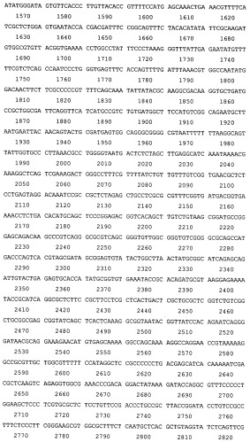 Способ получения иммуногенной композиции на основе гибридного белка ag85a-dbd и декстрана, рекомбинантная плазмида pag85a-dbd, штамм escherichia coli [prep4, pag85a-dbd], химерный белок ag85a-dbd (патент 2520078)