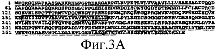 Анализы и способы, использующие биомаркеры (патент 2410438)