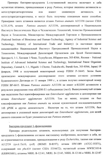 Способ получения l-треонина или l-аргинина с использованием бактерии, принадлежащей к роду escherichia, в которой инактивирован ген chac или оперон chabc (патент 2392327)