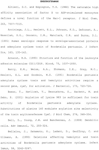 Модифицированная аденилатциклаза bordetella, содержащая домен взаимодействия cd11b/сd18 или лишенная домена взаимодействия cd11b/cd18, и ее применение (патент 2421241)