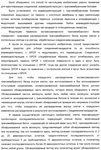 Способ идентификации соединений, взаимодействующих с трансмембранными белками (патент 2326166)
