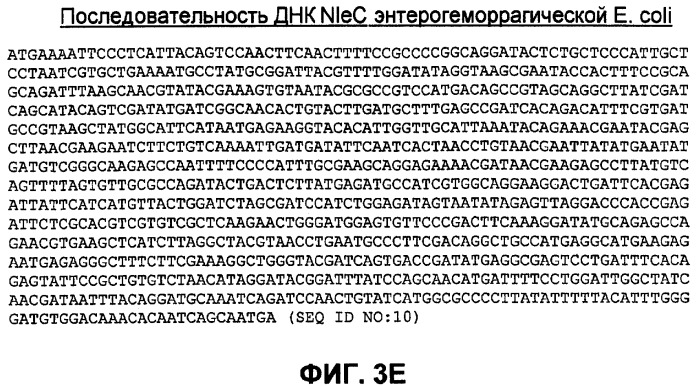 Бактериальные факторы вирулентности и варианты их применения (патент 2465331)