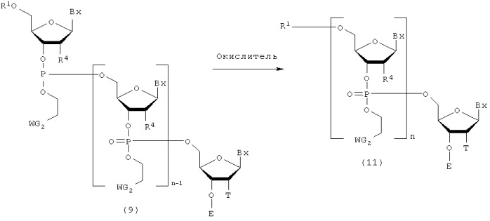 Производное фосфорамидита и способ получения олиго-рнк (патент 2415862)