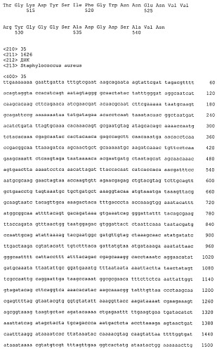 Иммуногенные композиции антигенов staphylococcus aureus (патент 2536981)