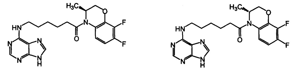 (3s)-4-[6-(пурин-6-иламино)гексаноил]-3,4-дигидро-3-метил-7,8-дифтор-2н-[1,4]бензоксазин и (3r)-4-[6-(пурин-6-иламино)гексаноил]-3,4-дигидро-3-метил-7,8-дифтор-2н-[1,4]бензоксазин, обладающие противовирусной активностью (патент 2644351)