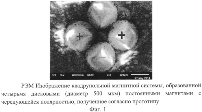 Способ визуализации магнитной доменной структуры и полей рассеяния микрообъектов в растровом электронном микроскопе (патент 2564456)