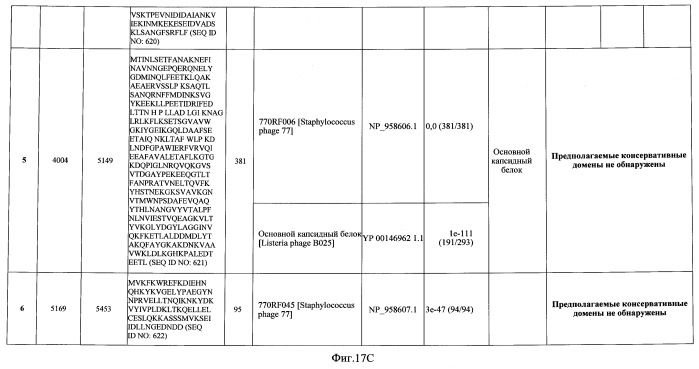 Бактериофаг, обладающий активностью против pseudomonas aeruginosa, белки бактериофага и способы их применения (патент 2580248)