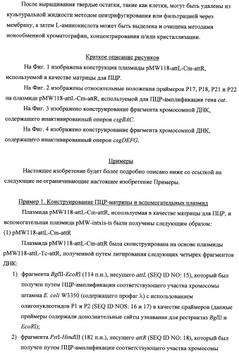 Способ получения l-треонина с использованием бактерии, принадлежащей к роду escherichia, модифицированной таким образом, что в ней нарушена способность к образованию ворсинок типа &quot;керли&quot; (патент 2338782)