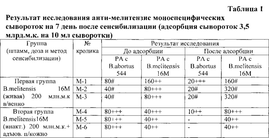 Способ получения бруцеллёзной моноспецифической сыворотки anti-melitensis (патент 2613901)