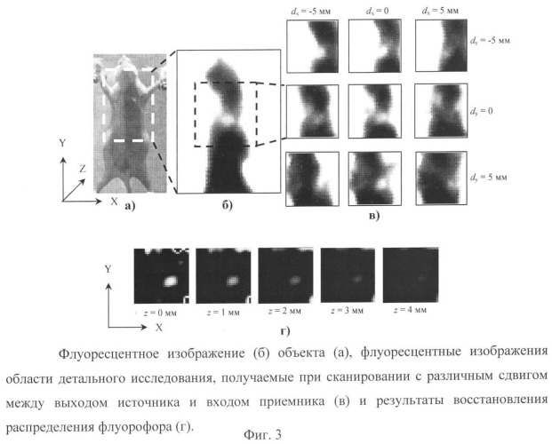 Устройство получения флуоресцентных томографических изображений (патент 2368306)