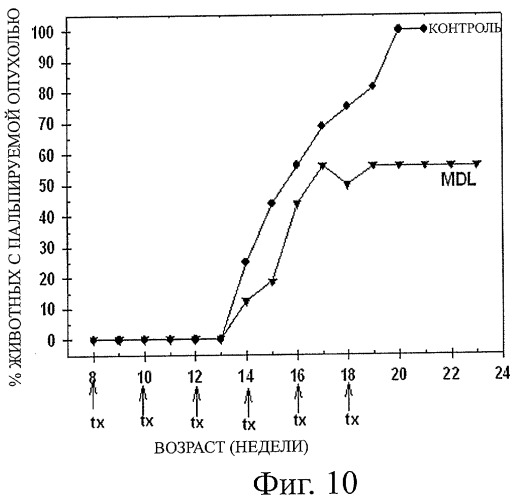 Фармацевтическая композиция на основе n1,n4-бис-(бута-1,3-диенил)бутан-1,4-диамина и способы ее применения (патент 2448693)