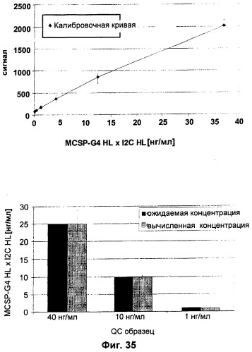 Pscaxcd3, cd19xcd3, c-metxcd3, эндосиалинxcd3, epcamxcd3, igf-1rxcd3 или fap-альфаxcd3 биспецифическое одноцепочечное антитело с межвидовой специфичностью (патент 2547600)