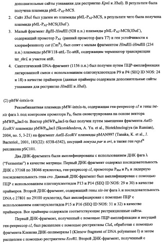 Способ получения l-треонина с использованием бактерии, принадлежащей к роду escherichia, в которой инактивирован кластер генов sfmacdfh-fimz или ген fimz (патент 2333953)