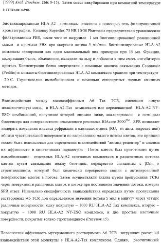 Экспонирование т-клеточных рецепторов (патент 2346004)