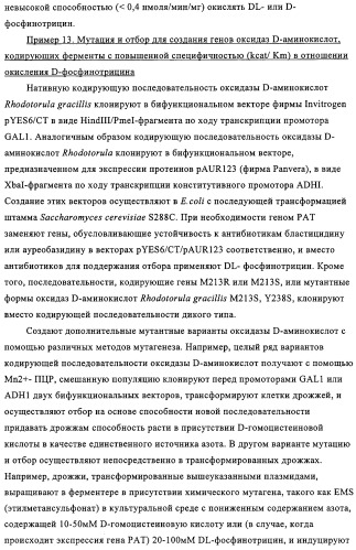 Способ избирательного получения растений с мужской или женской стерильностью (патент 2320722)
