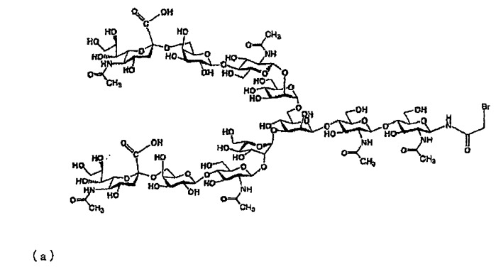 Гликозилированный пептид glp-1 (патент 2543157)