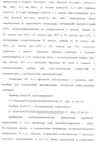 Клетка-хозяин trichoderma reesei для получения целлюлолитической белковой композиции, целлюлолитическая белковая композиция, способы ее получения и применения (патент 2494146)