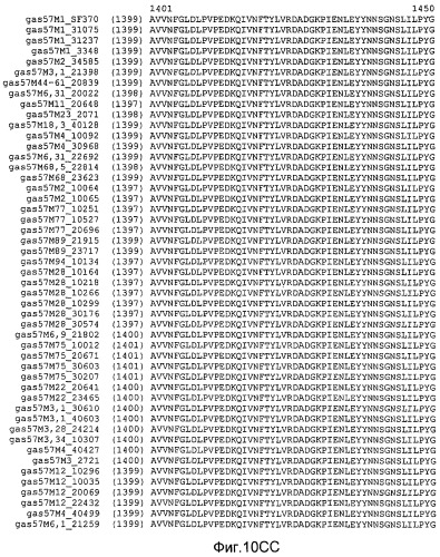 Мутантные антигены gas57 и антитела против gas57 (патент 2471497)