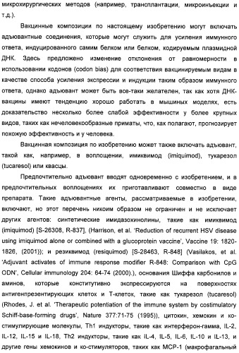Полинуклеотидная последовательность, кодирующая полипептид вируса папилломы человека, ее применение, а также содержащие ее вектор и фармацевтическая композиция (патент 2354701)