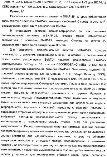 Иммунологические анализы активности ботулинического токсина серотипа а (патент 2491293)