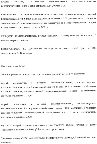 Экспонирование т-клеточных рецепторов (патент 2346004)
