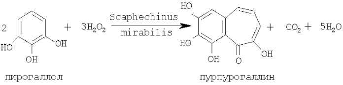 Способ получения пурпурогаллина (патент 2396244)