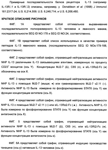 Il-13 связывающие агенты (патент 2434881)