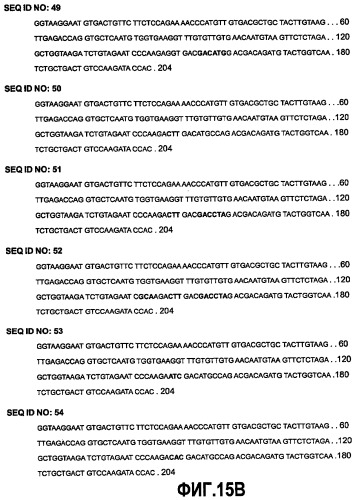 Полипептид, селективный по отношению к интегрину  v 3, способ его получения, кодирующий его полинуклеотид, композиция, содержащая данный полипептид, и способ лечения и профилактики (патент 2477727)