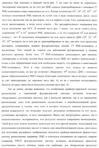 Бесконтактные способы обнаружения молекулярных колоний, наборы реагентов и устройство для их осуществления (патент 2394915)