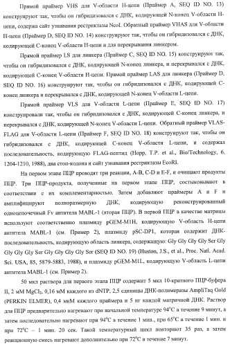 Днк, кодирующая модифицированное антитело или соединение с активностью агониста тро, способ их получения и животная клетка или микроорганизм, их продуцирующие (патент 2422528)