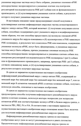 Способы и композиции для экспрессии антисмысловой вирусной рнк в клетках собаки (патент 2457250)