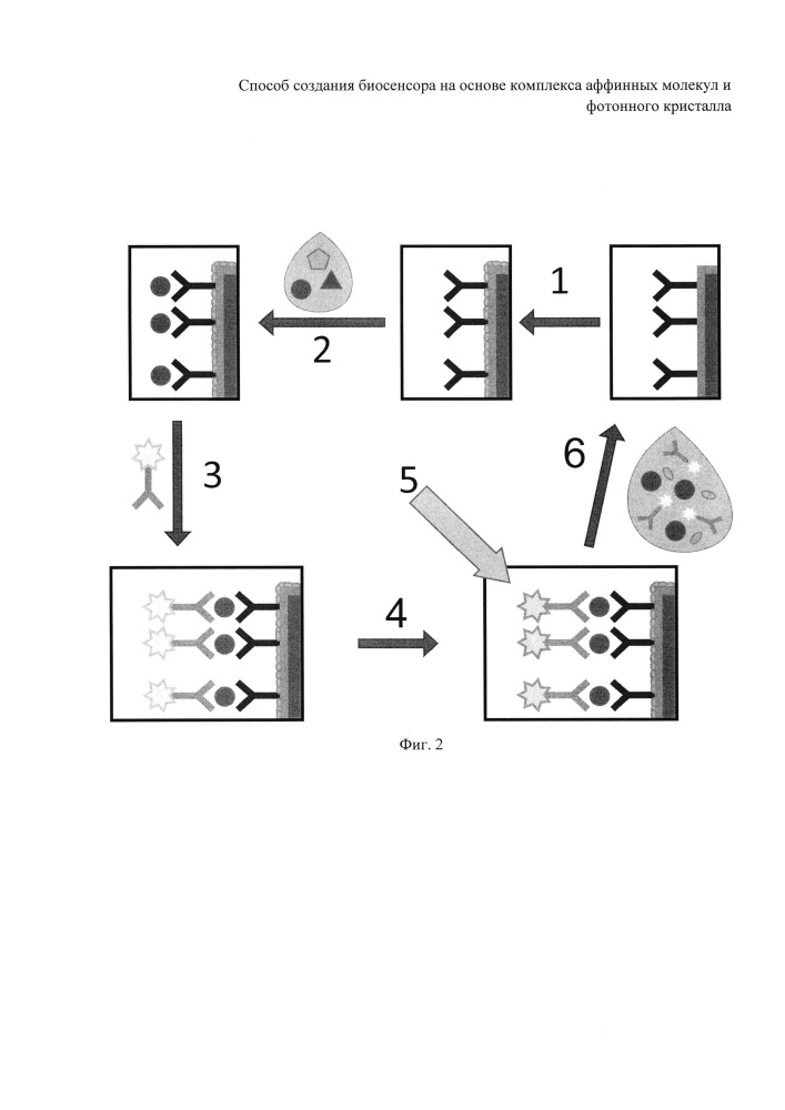 Способ создания регенерируемого биосенсора на основе комплекса фотонного кристалла с аффинными молекулами (патент 2618606)