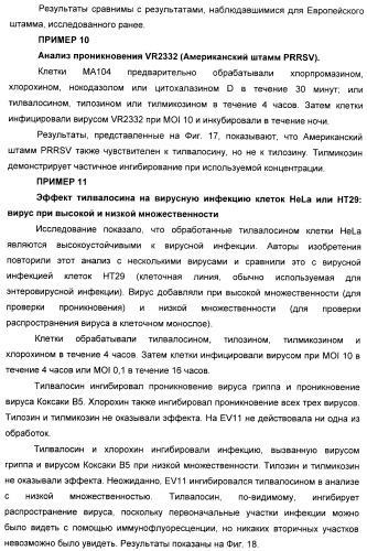 Применение тилвалосина в качестве противовирусного агента (патент 2412710)