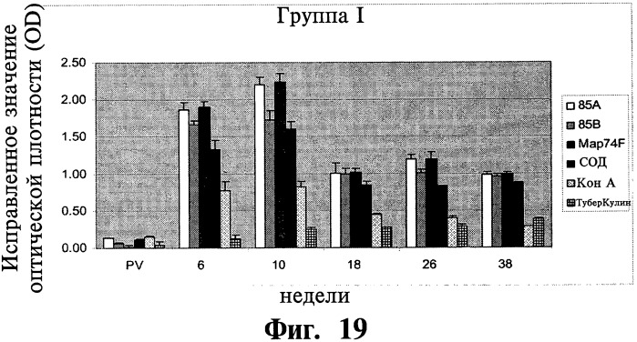 Фармацевтическая композиция и способ стимулирования иммунного ответа к мусоbacterium avium подвида paratuberculosis (патент 2489165)