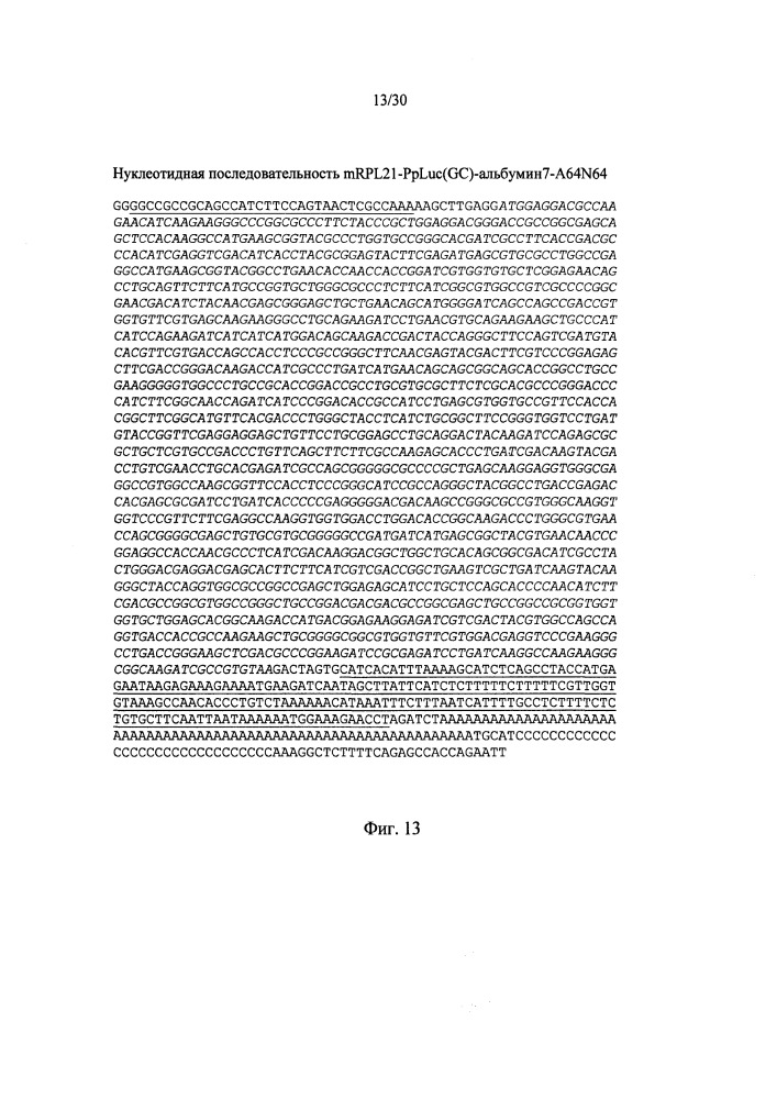 Молекулы искусственной нуклеиновой кислоты, содержащие 5'utr гена top (патент 2660565)