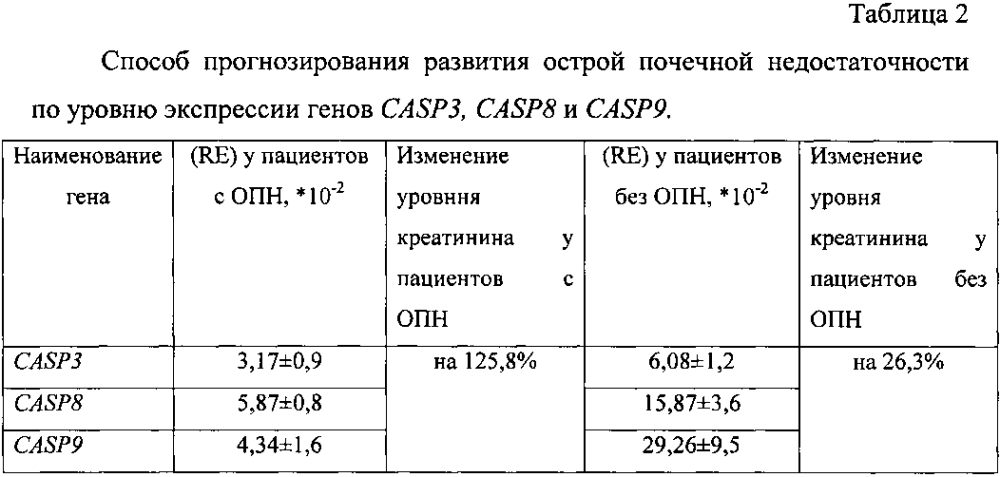 Способ прогнозирования развития острой почечной недостаточности по уровню экспрессии генов casp3, casp8 и casp9 после кратковременной ишемии почки (патент 2599099)