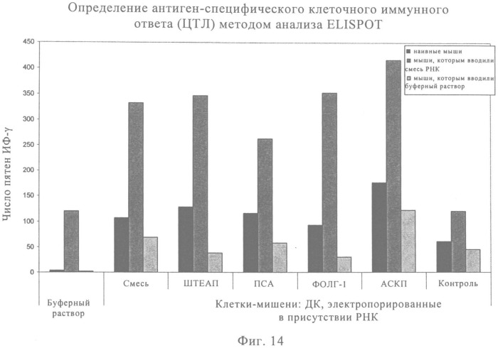 Композиция для лечения рака предстательной железы (рпж) (патент 2508125)