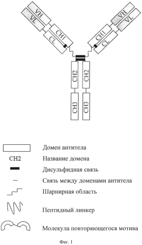 Гликозилированные конъюгаты молекул с повторяющимся мотивом (патент 2574201)