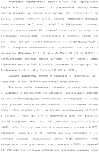 Антитела против вируса гепатита с (патент 2462475)