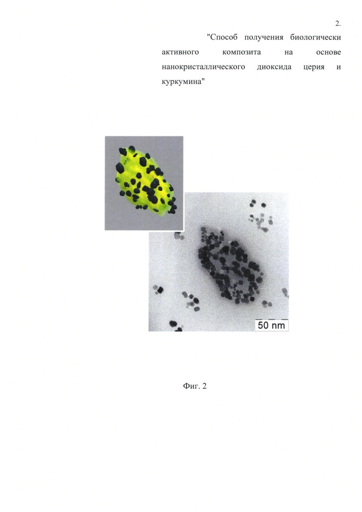 Способ получения биологически активного композита на основе нанокристаллического диоксида церия и куркумина (патент 2665378)