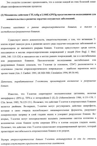 Способ лечения сердечно-сосудистого заболевания с применением растворимого ctla4 (патент 2353384)
