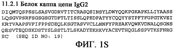 Применение антител к ctla-4 (патент 2346702)