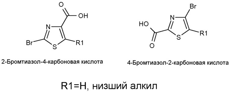 Замещенные производные 3-тиазолоаминопропионовой кислоты и их применение в качестве фармацевтических препаратов (патент 2617843)