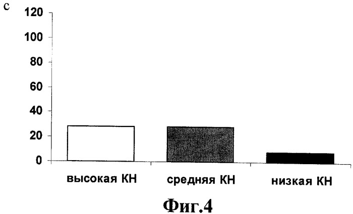 Способ оценки уровня внимания учащегося при компьютерном тестировании (патент 2341183)