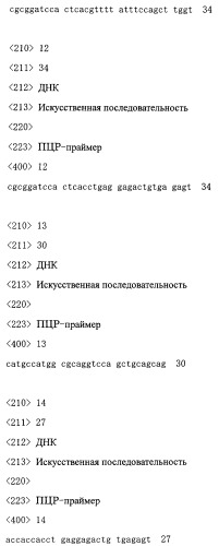 Деградированное антитело, являющееся агонистом tpo (патент 2287534)