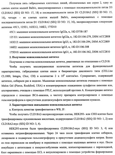 Моноклональные антитела к клаудину-18 для лечения рака (патент 2445319)