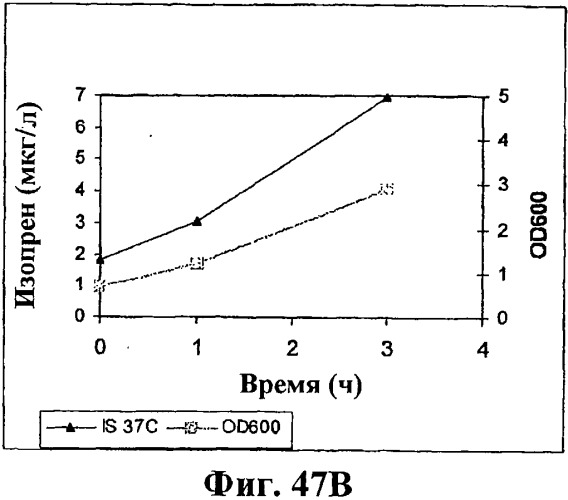 Композиции и способы получения изопрена (патент 2545699)