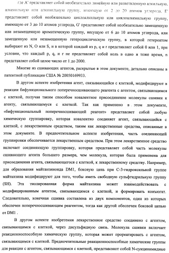 Высокоэффективные конъюгаты и гидрофильные сшивающие агенты (линкеры) (патент 2487877)