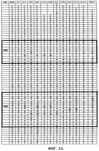 Применение антител к ctla-4 (патент 2346702)