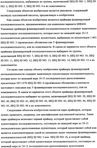 Вариант кукурузы mir604 (патент 2351122)